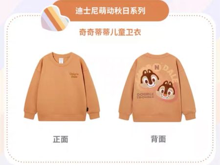 SHDS - Autumn Sprouts Cute Collection x Chip & Dale Sweatshirt for Kids Online Sale