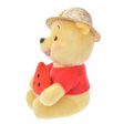 JDS - Winnie the Pooh  Straw Hat  Plush Toy (Release Date: July 30, 2024) Supply