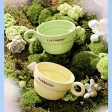 Starbucks China - Colorful Succulent Garden 2024 - 1O. Green & Yellow Cactus Mug Set of 2 240ml Discount