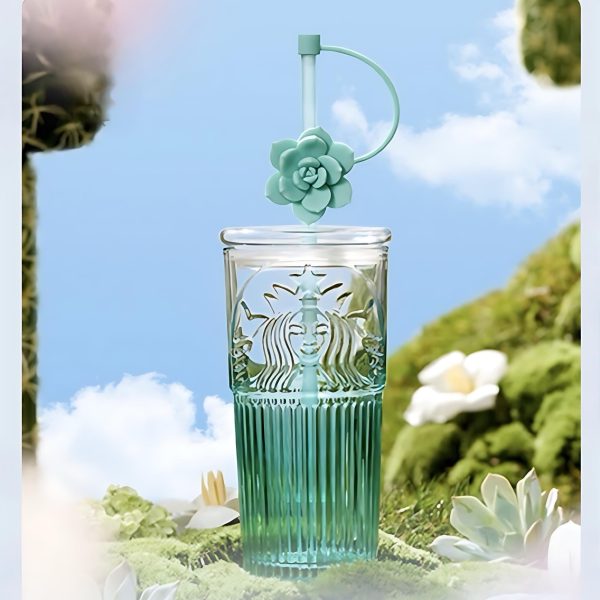 Starbucks China - Colorful Succulent Garden 2024 - 10O. Ombré Glass Cold Cup with Rose Succulent Topper 550ml on Sale