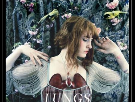 FLORENCE AND THE MACHINE - LUNGS Hot on Sale